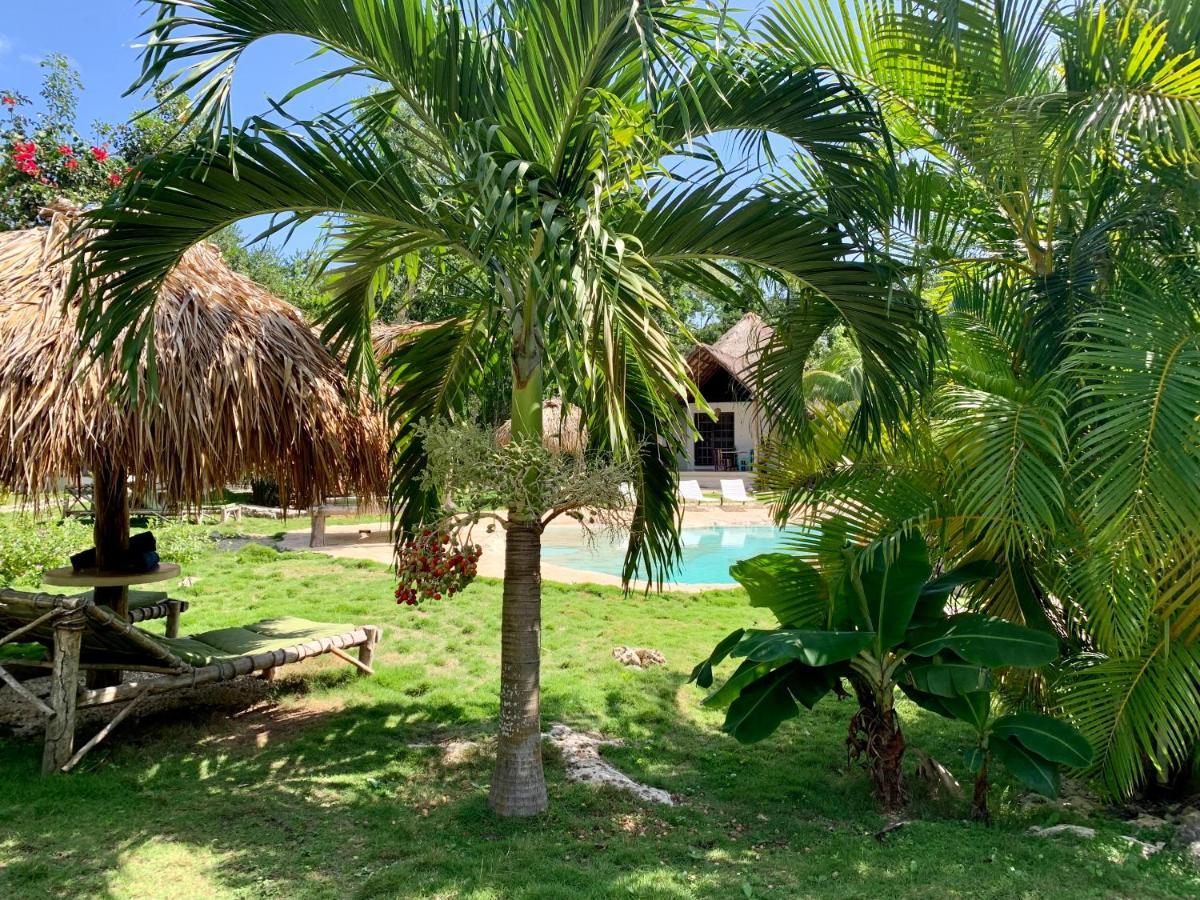 Villa Morena Boutique Hotel Ecoliving Akumal Εξωτερικό φωτογραφία