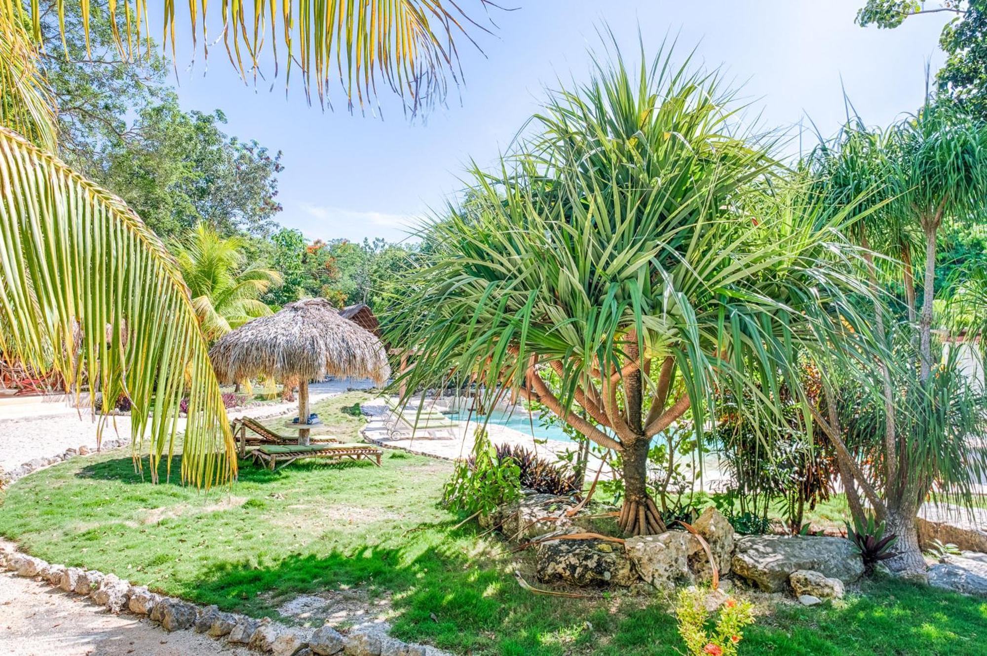 Villa Morena Boutique Hotel Ecoliving Akumal Εξωτερικό φωτογραφία